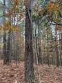 66.14 ac County Road 227 - Photo 10