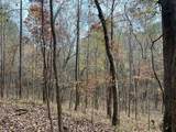 66.14 ac County Road 227 - Photo 12