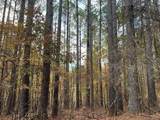 66.14 ac County Road 227 - Photo 14