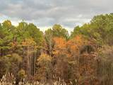 66.14 ac County Road 227 - Photo 16