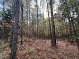 66.14 ac County Road 227 - Photo 18