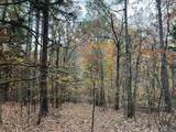 66.14 ac County Road 227 - Photo 9