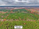 85  ac County Road 291 - Photo 30