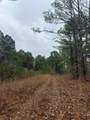 0 County Road 151A - Photo 11
