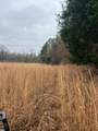 0 County Road 151A - Photo 4