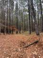 0 County Road 151A - Photo 6
