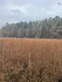 0 County Road 151A - Photo 7