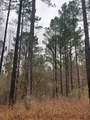 0 County Road 151A - Photo 8