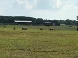 416 County Road 215 - Photo 18