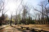 107 Avent - Photo 64