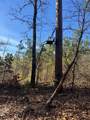418 County Road 200 - Photo 44