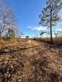 0 Elder Lake Road - Photo 12