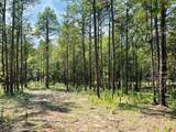 TBD Cr 255 (Lafayette County) - Photo 19