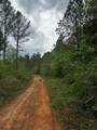TBD Hwy 331 - Photo 11
