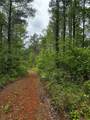 TBD Hwy 331 - Photo 18