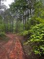 TBD Hwy 331 - Photo 21