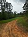 TBD Hwy 331 - Photo 8
