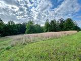 4.50 ac County Road 62 - Photo 11
