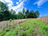 4.50 ac County Road 62 - Photo 14