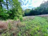 4.50 ac County Road 62 - Photo 17