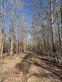 00 County Road 409 - Photo 25