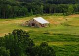 447 County Road 215 - Photo 12