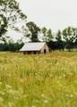 447 County Road 215 - Photo 2