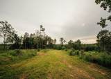 447 County Road 215 - Photo 20