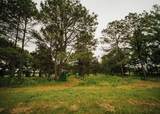 447 County Road 215 - Photo 21