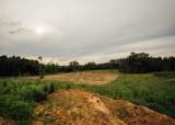 447 County Road 215 - Photo 28