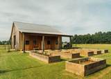 447 County Road 215 - Photo 3