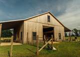 447 County Road 215 - Photo 38