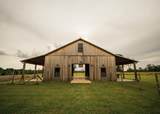 447 County Road 215 - Photo 39