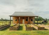 447 County Road 215 - Photo 4