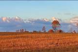 447 County Road 215 - Photo 45