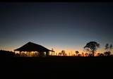 447 County Road 215 - Photo 46