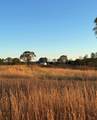 447 County Road 215 - Photo 47