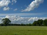447 County Road 215 - Photo 48