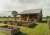 447 County Road 215 - Photo 5