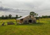 447 County Road 215 - Photo 6