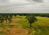 447 County Road 215 - Photo 9