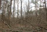 62 County Road 198 - Photo 15