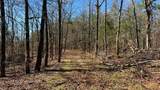 63.20 ac County Road 15 - Photo 15