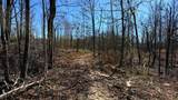 63.20 ac County Road 15 - Photo 16
