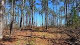 63.20 ac County Road 15 - Photo 17