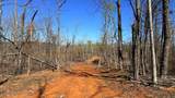 63.20 ac County Road 15 - Photo 18