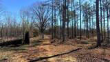 63.20 ac County Road 15 - Photo 21