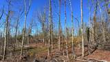 63.20 ac County Road 15 - Photo 22