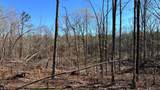 63.20 ac County Road 15 - Photo 25