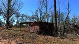63.20 ac County Road 15 - Photo 26